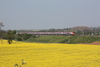 [Railway Photographs 2011]