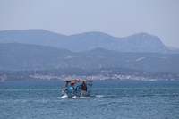 [IMG_1741]