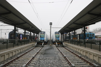 [IMG_7807]