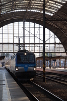 [IMG_4944]