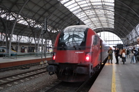 [IMG_6803]