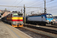 [IMG_7564]