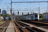 [IMG_1373]