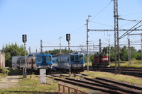 [IMG_1387]