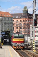 [IMG_1535]