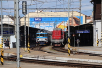 [IMG_1545]