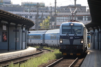 [IMG_2598]