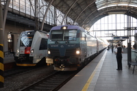 [IMG_2602]