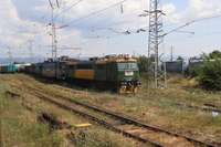 [IMG_2659]