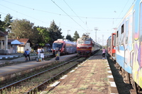 [IMG_3003]